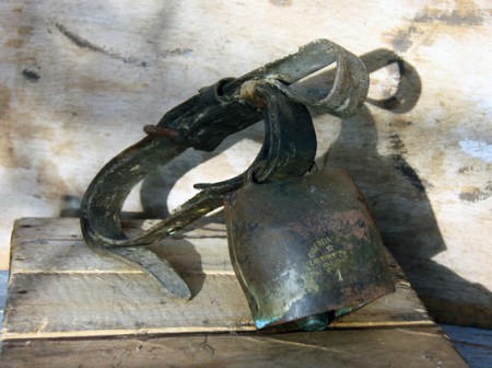 Cloche